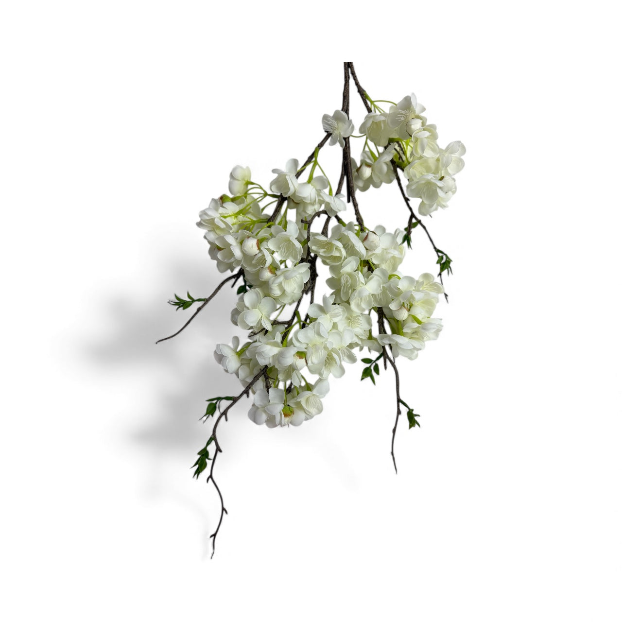 Photoroom_20251211_151045