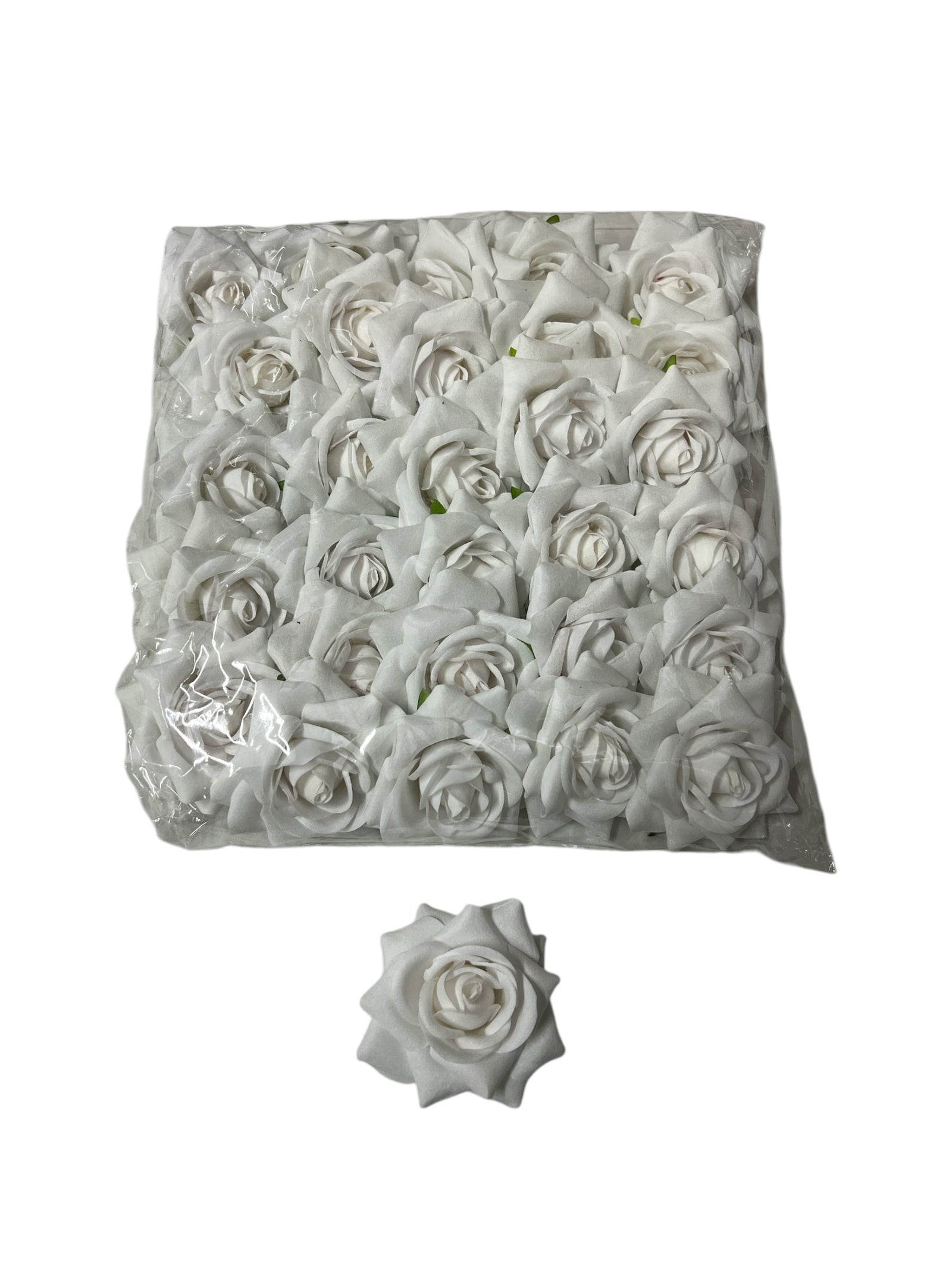 Photoroom_20250121_095450