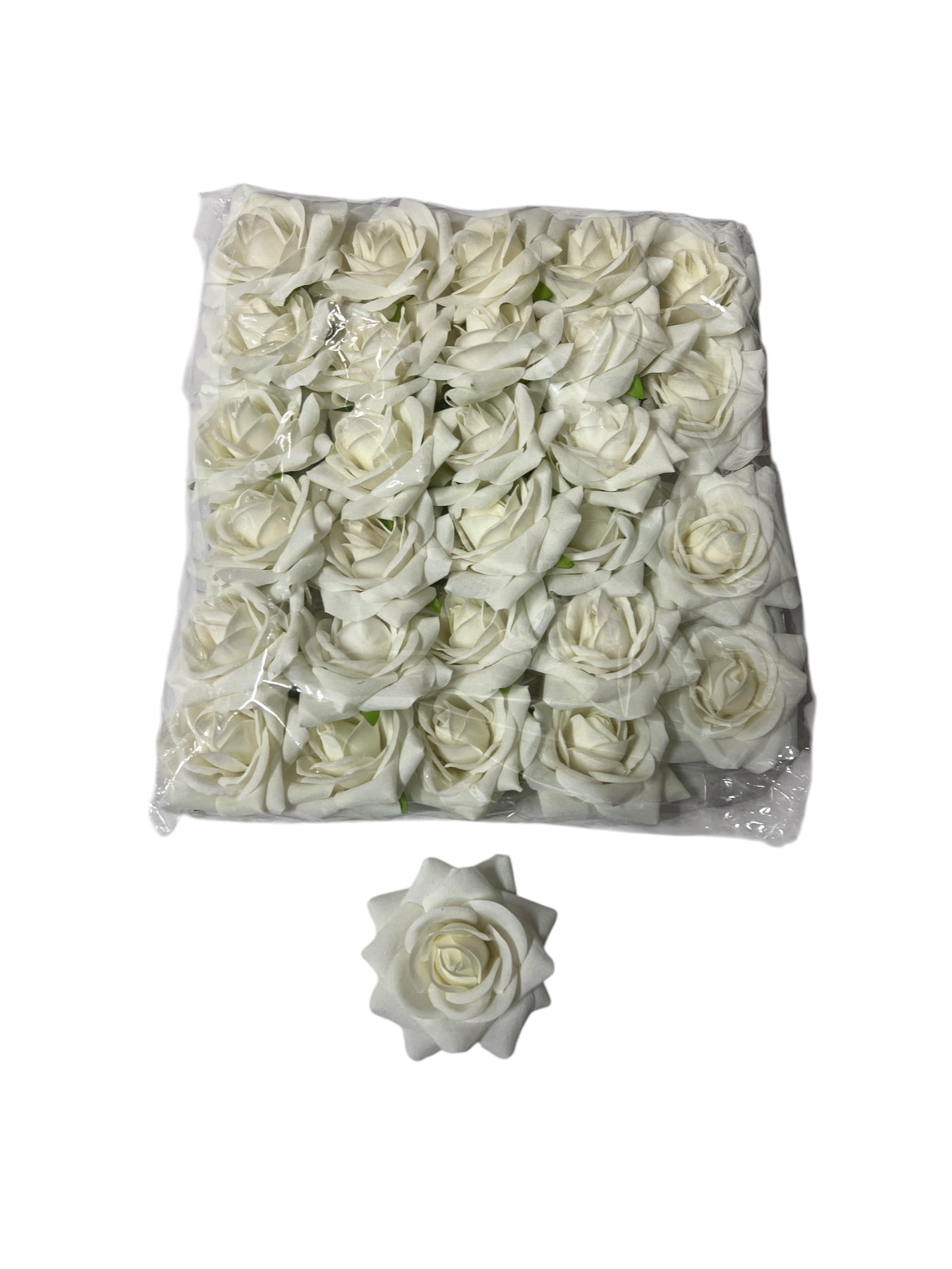 Photoroom_20250121_095519