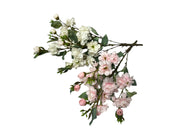 Photoroom_20250121_094043