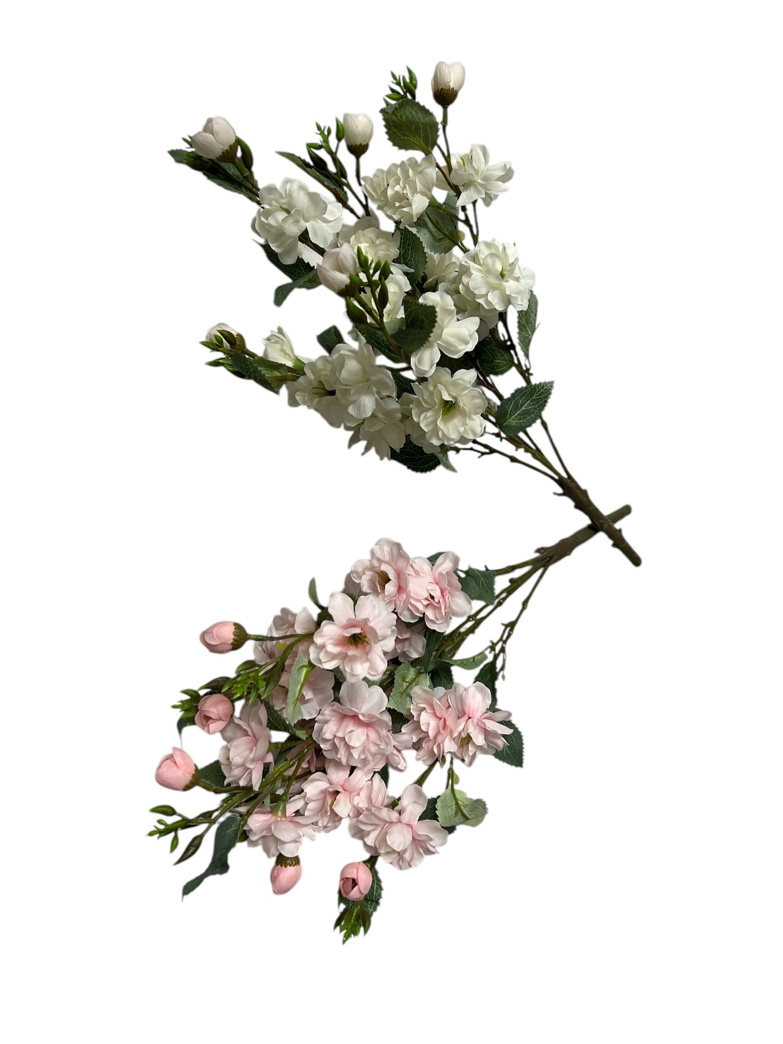 Photoroom_20250121_094128