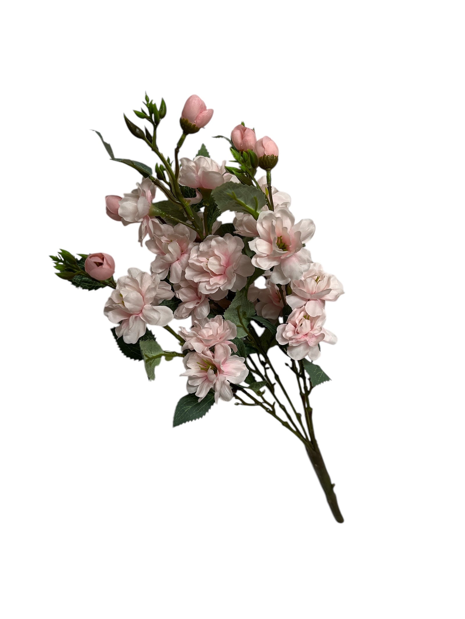 Photoroom_20250121_094224