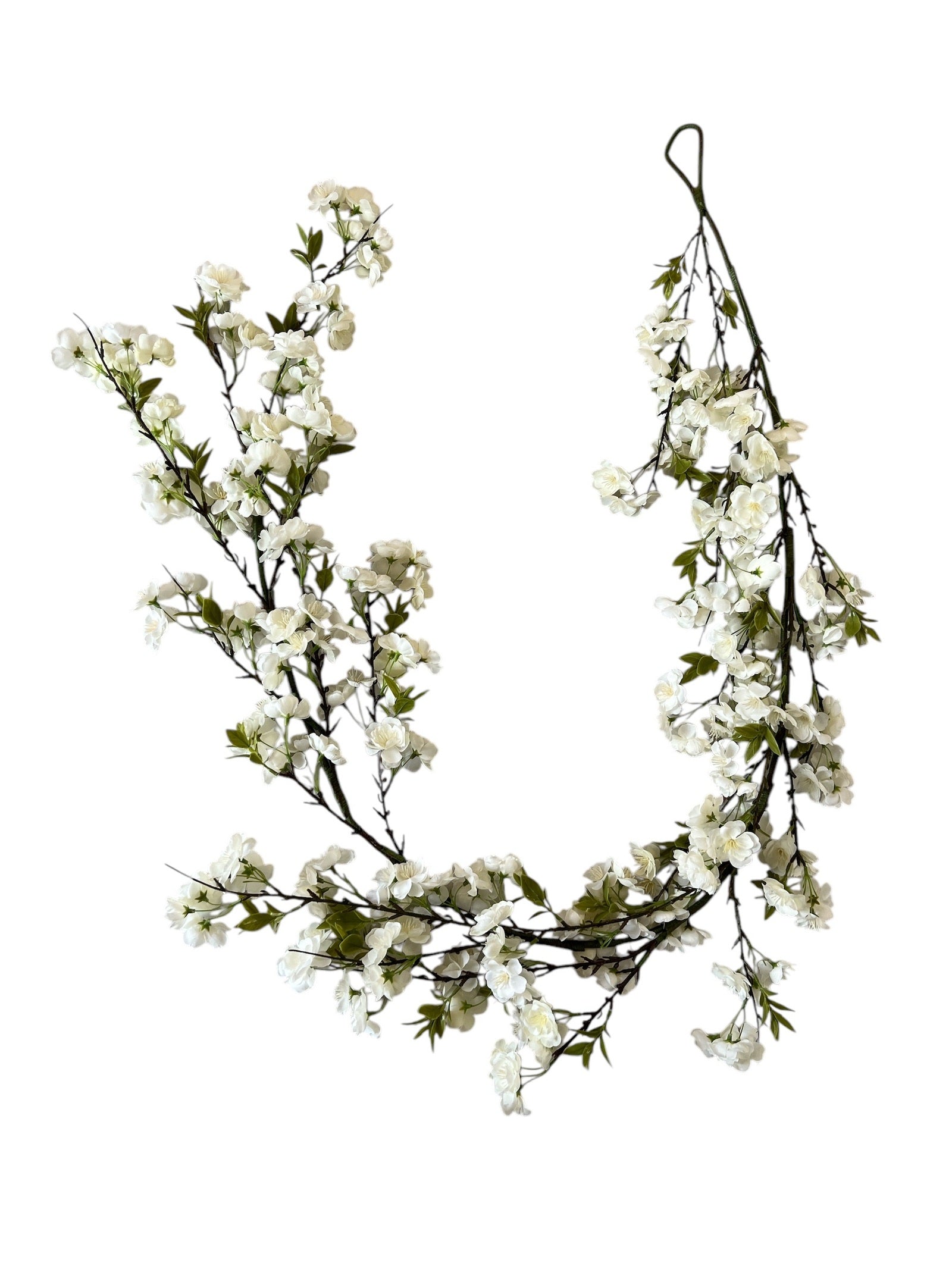 Photoroom_20250123_083938 2