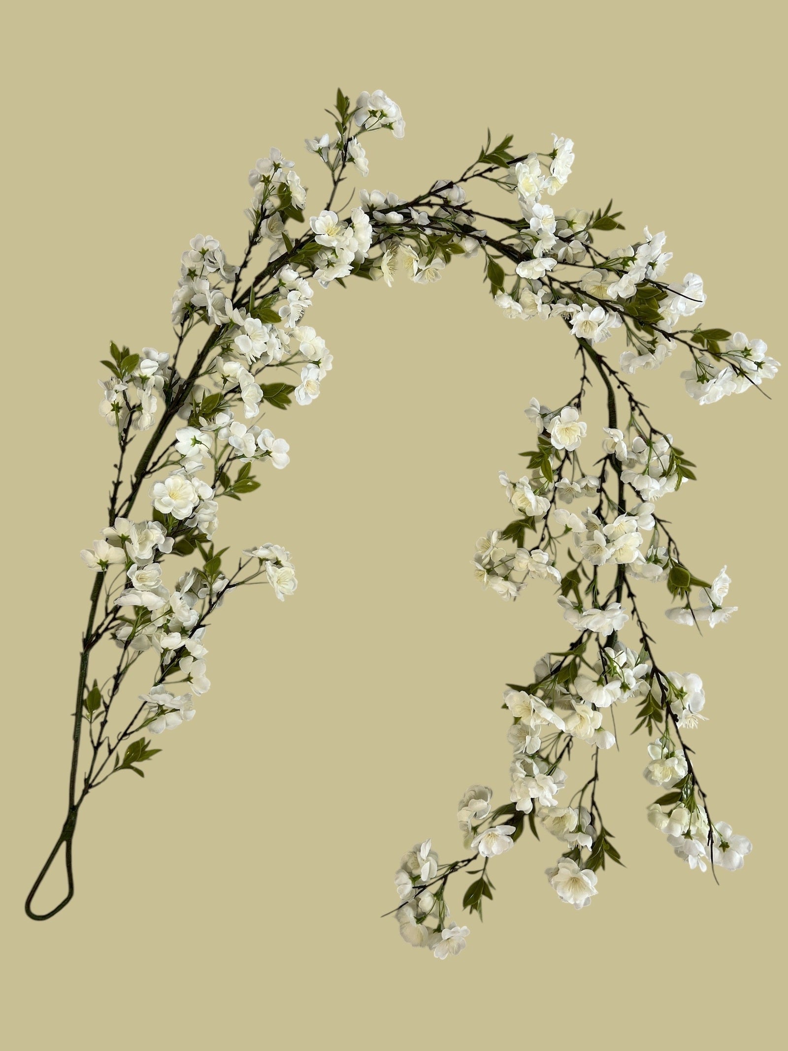 Photoroom_20250123_103000 2