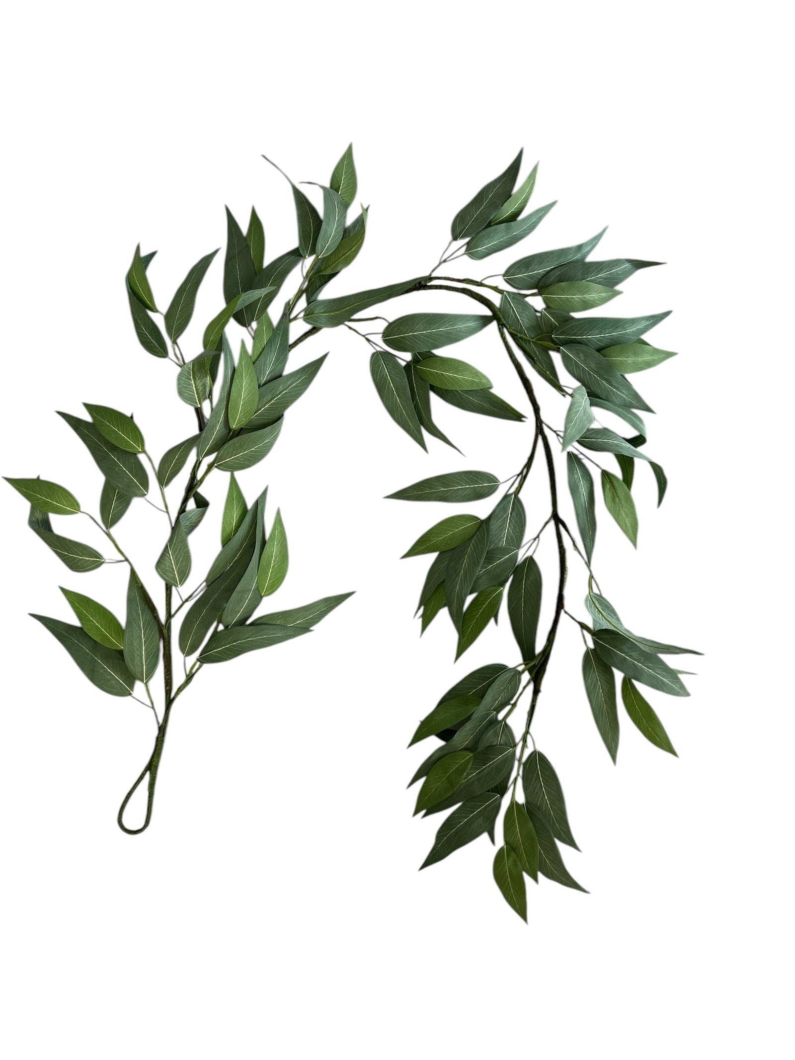 Photoroom_20250123_083121 2