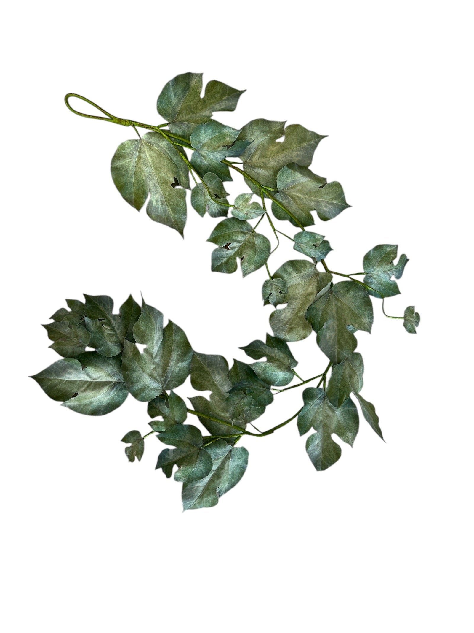 Photoroom_20250123_082847 2