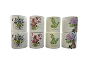 Photoroom_20250129_130913