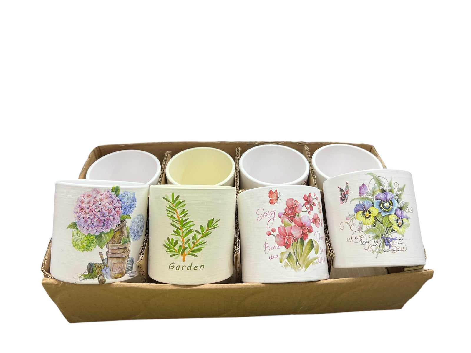 Photoroom_20250129_131232