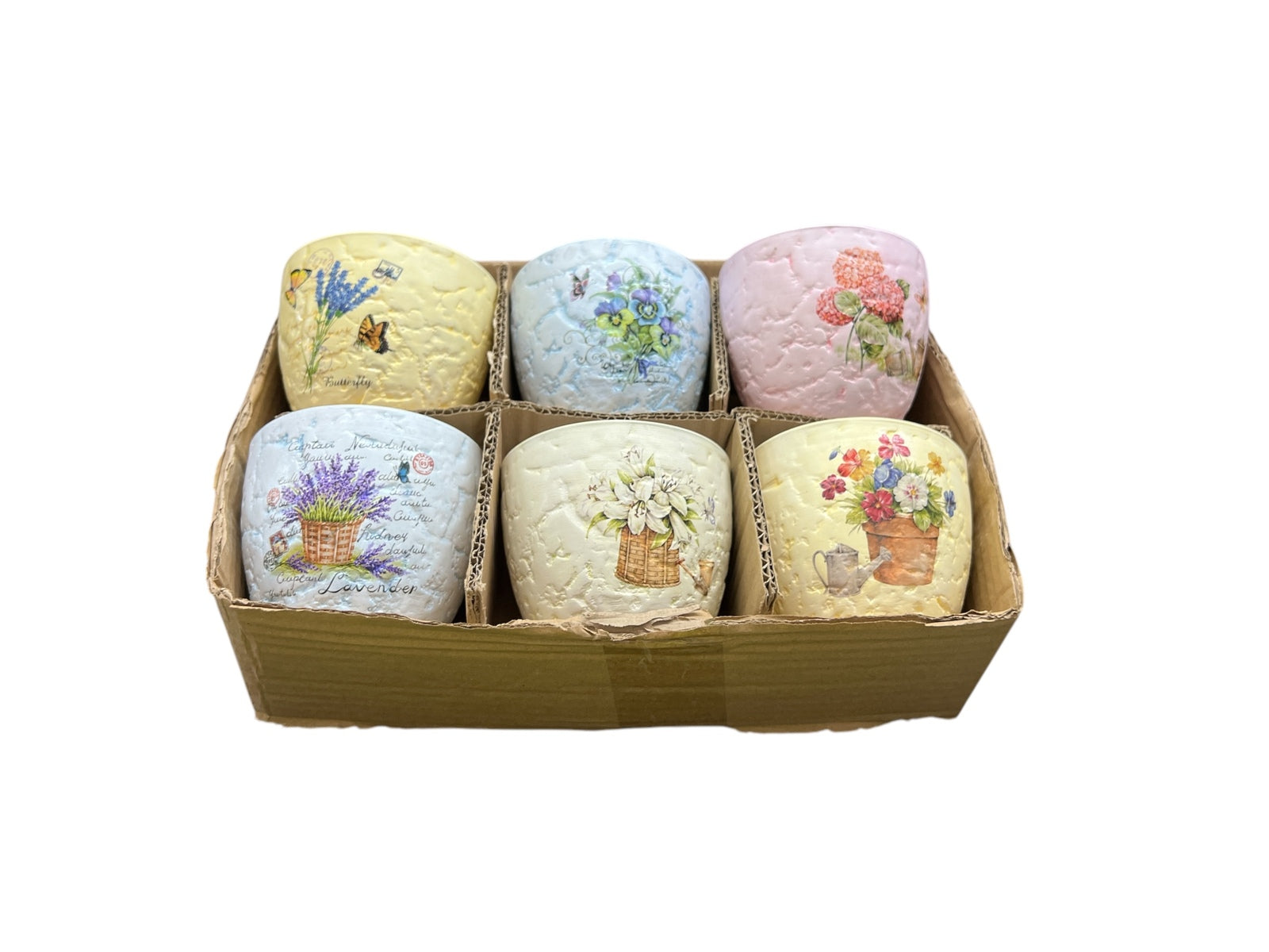 Photoroom_20250129_131905