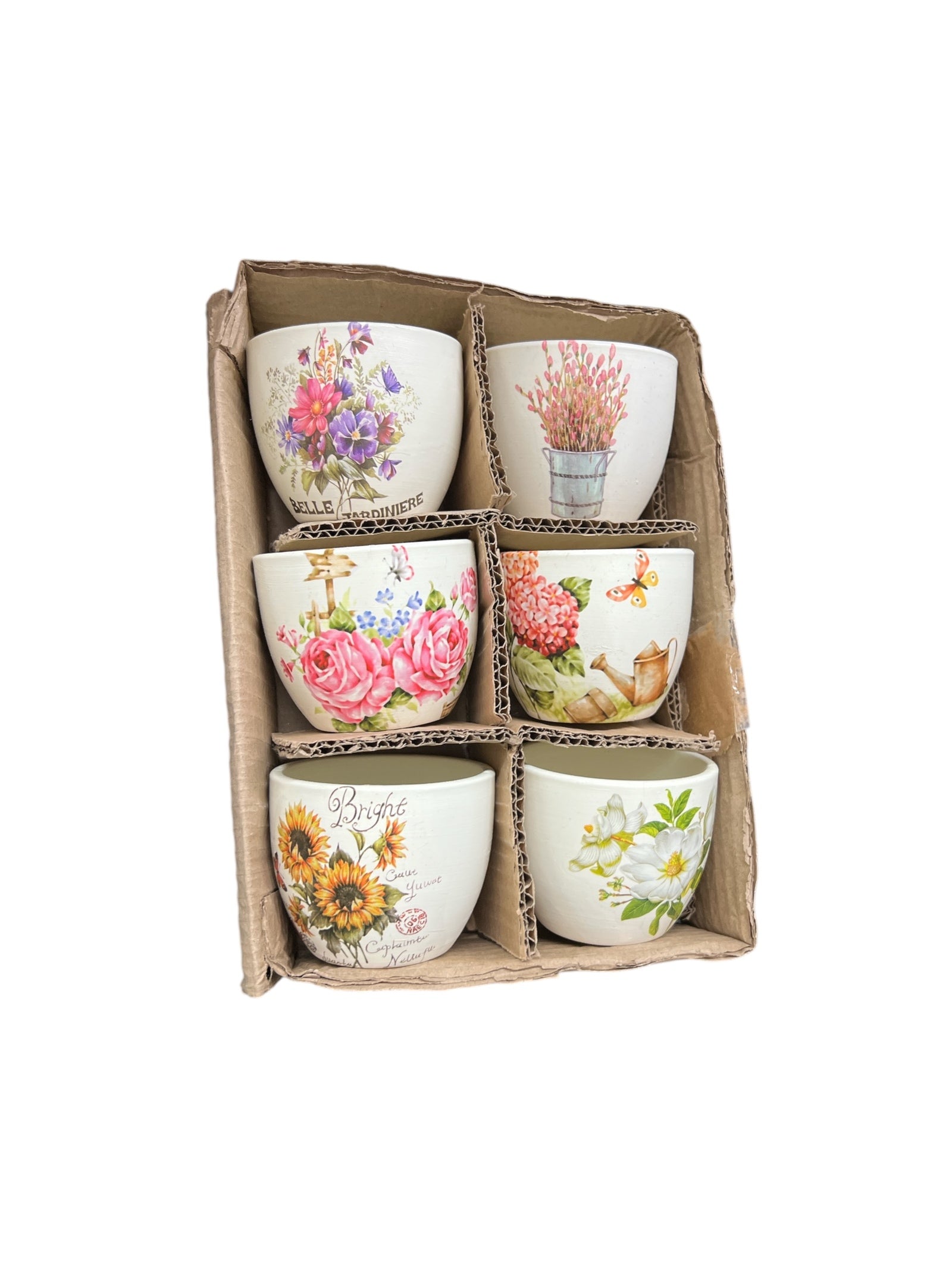 Photoroom_20250129_132535