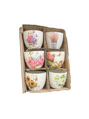 Photoroom_20250129_132535