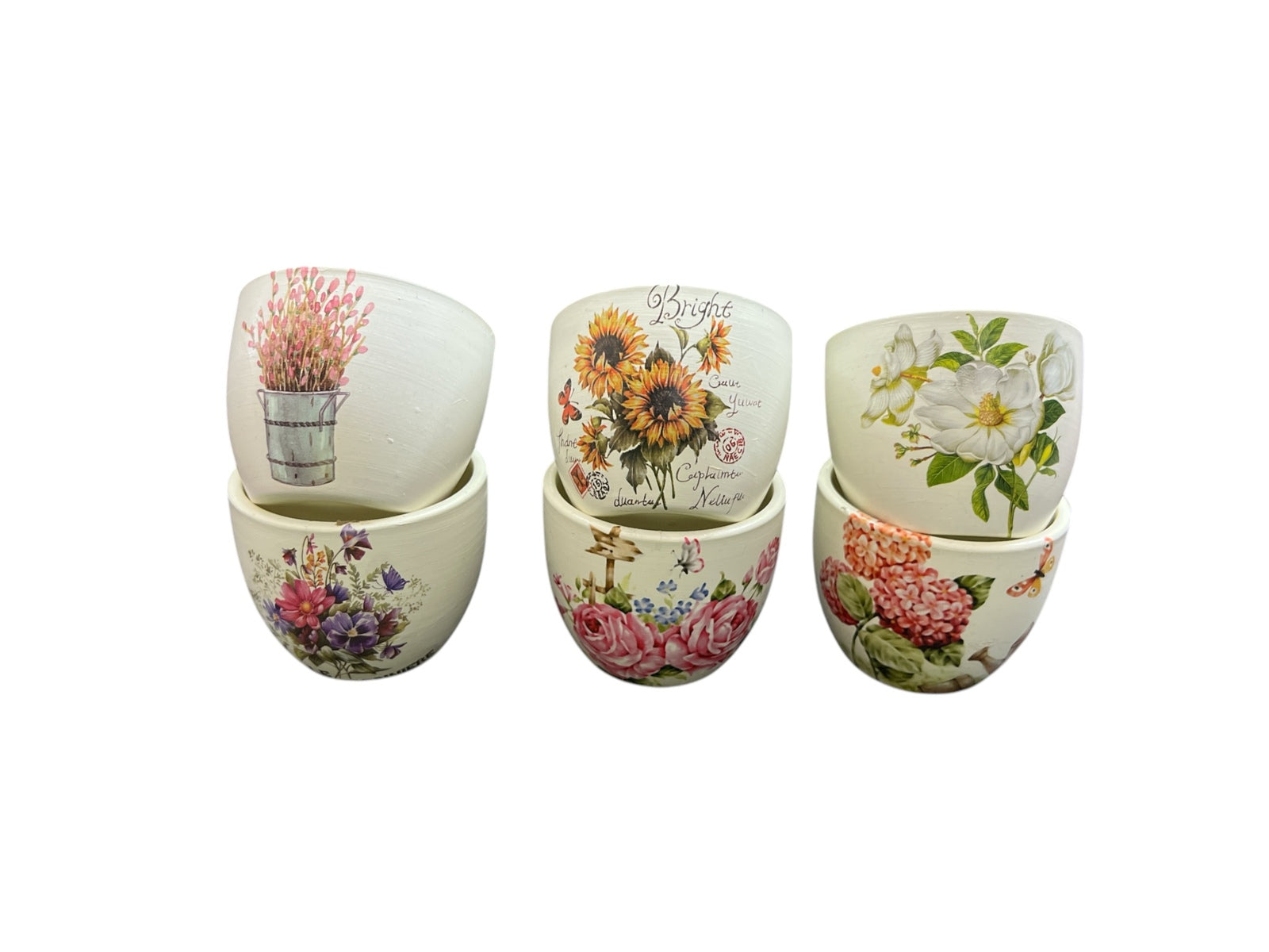 Photoroom_20250129_132725