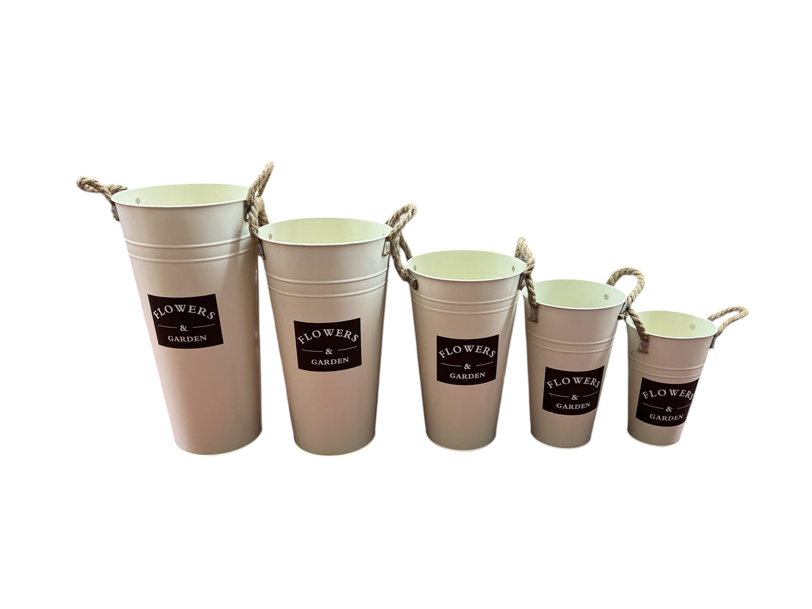 Photoroom_20250129_161318