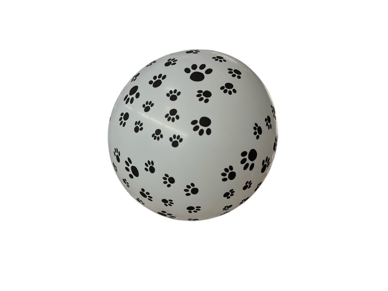 Photoroom_20250226_162205