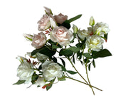 Photoroom_20250227_150634