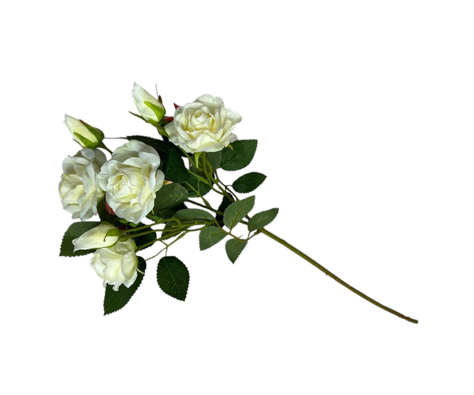 Photoroom_20250227_150832