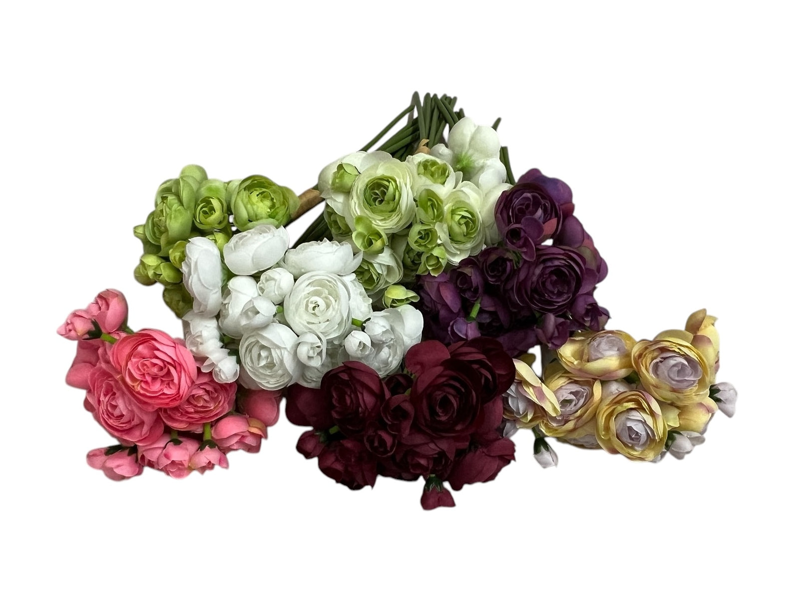 IMG_4424