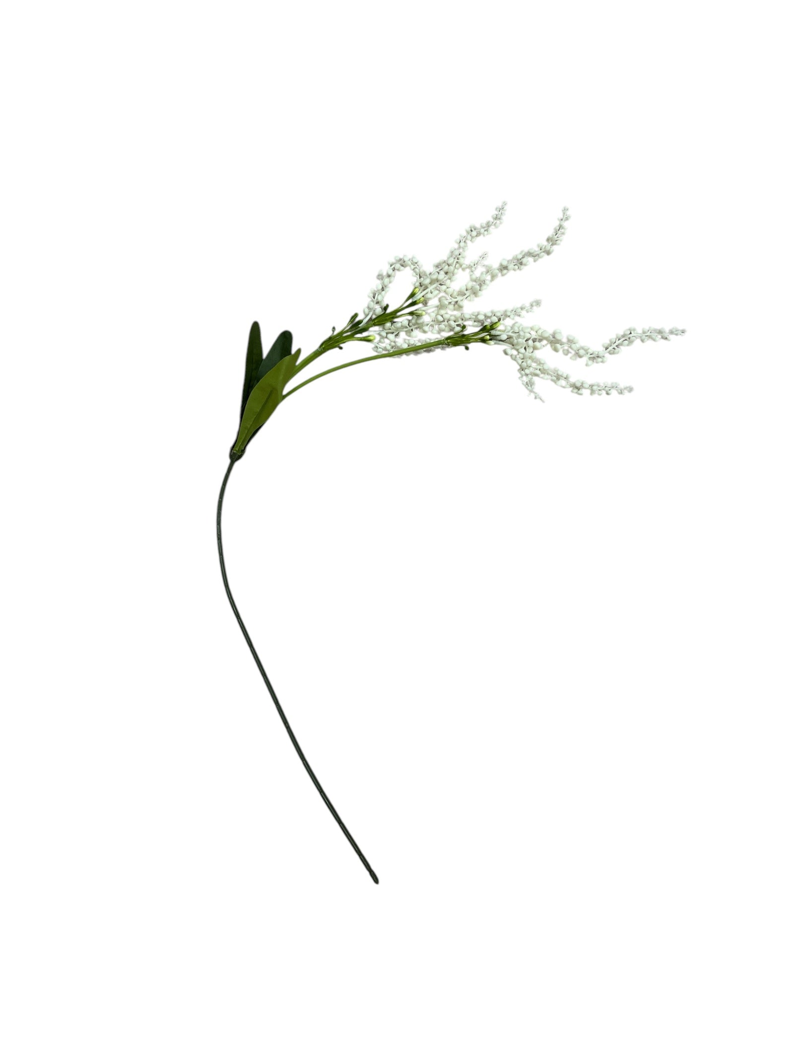 Photoroom_20250227_161249