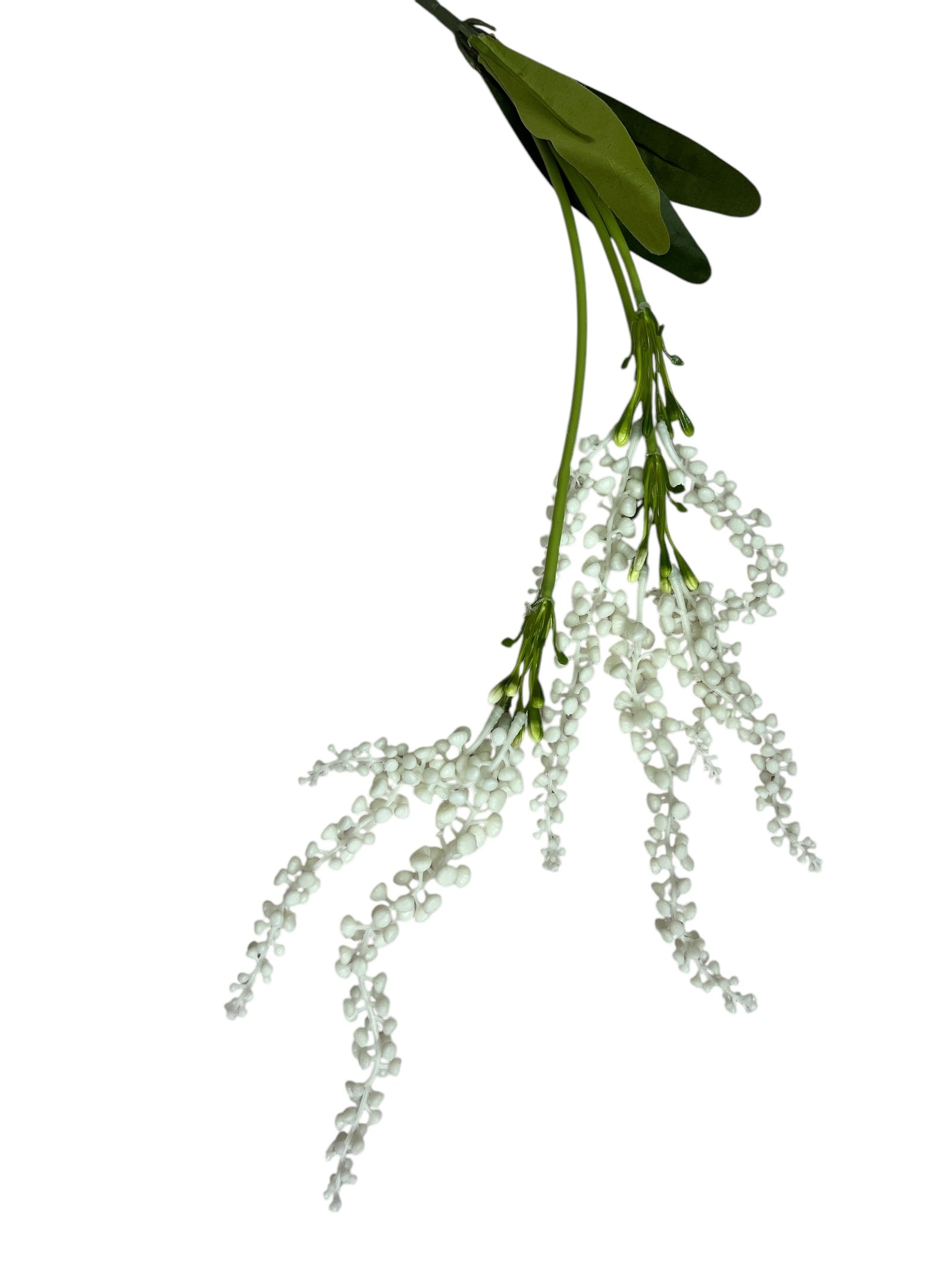 Photoroom_20250227_161328