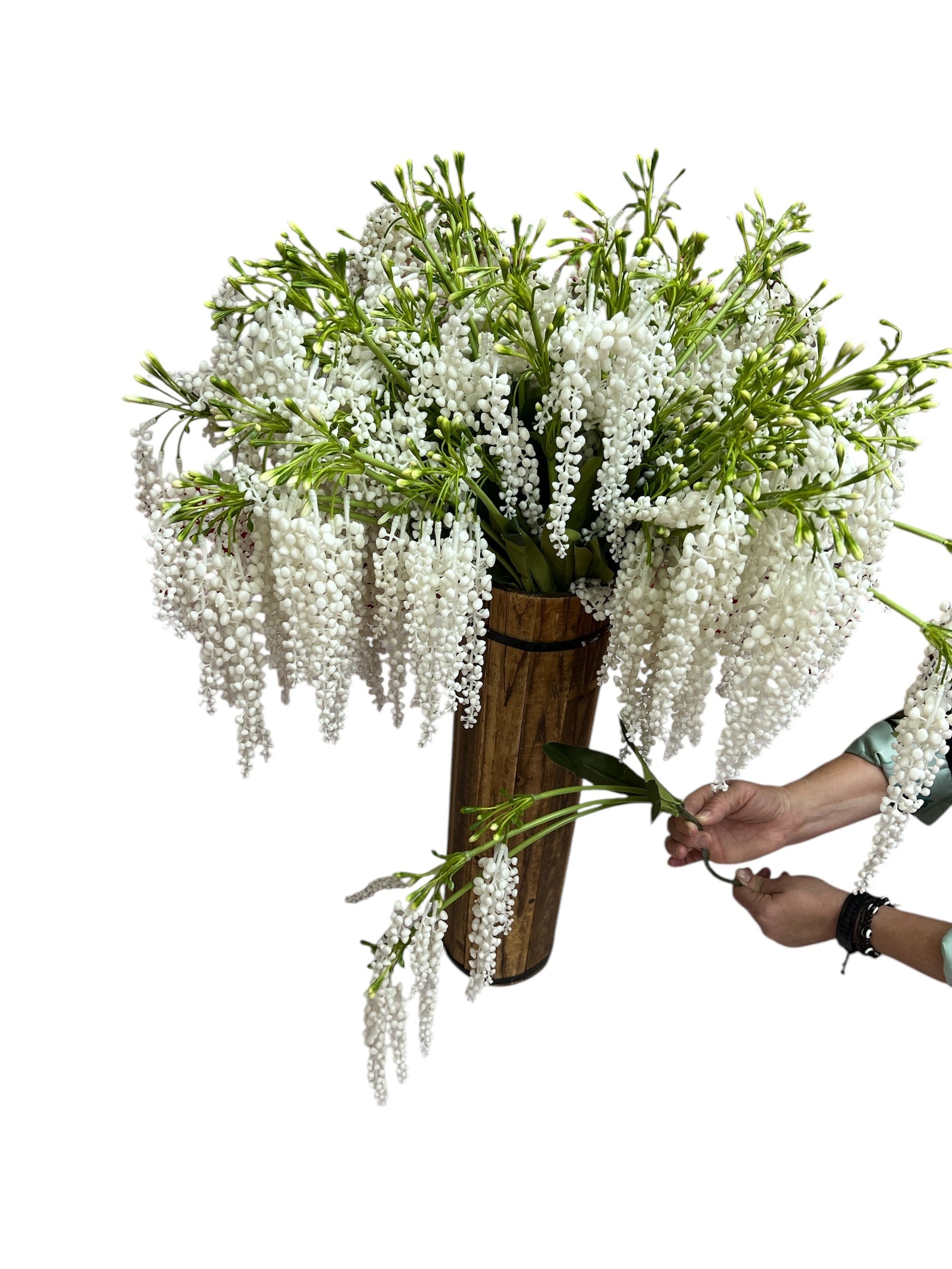 Photoroom_20250227_161423