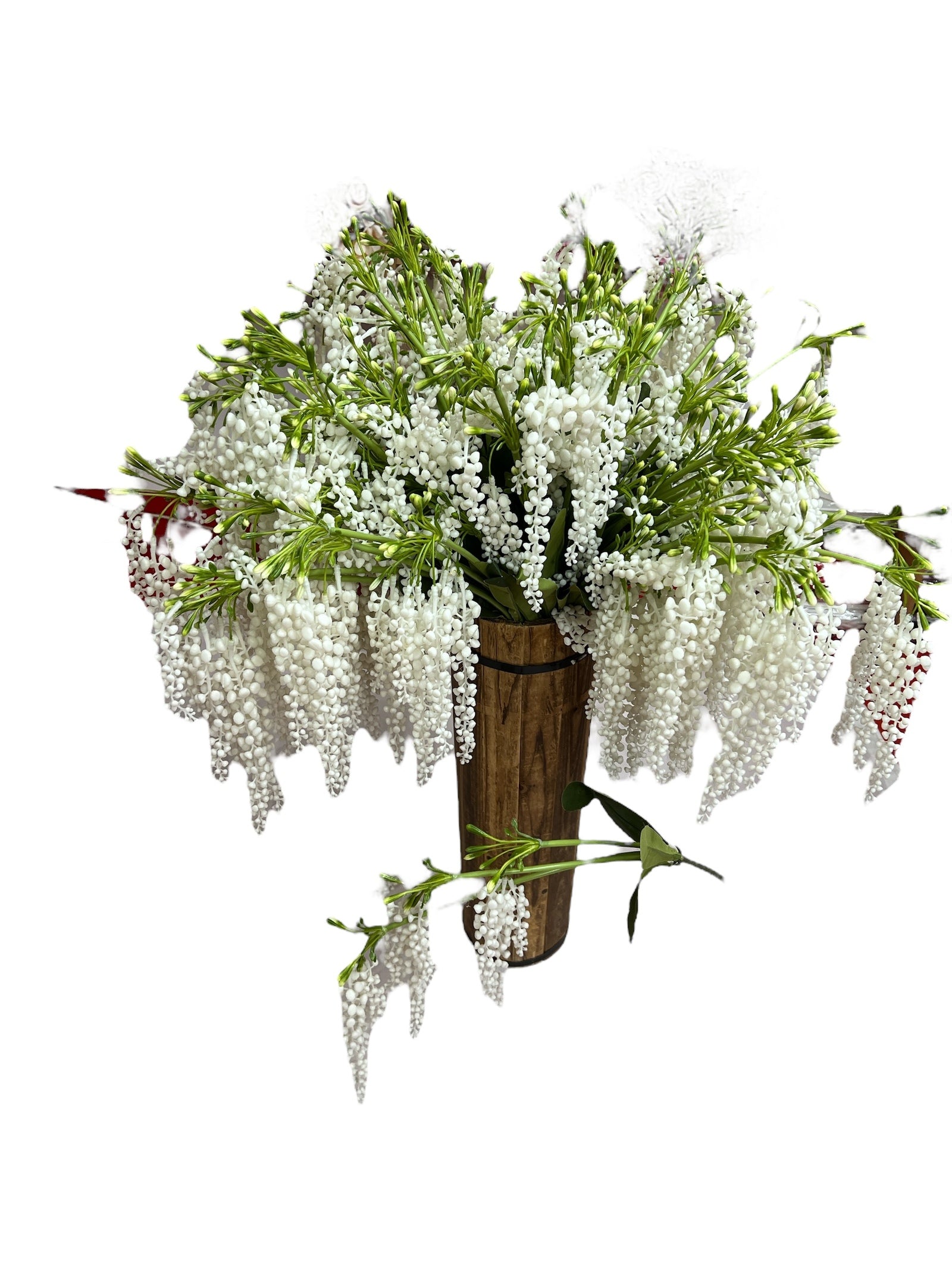 Photoroom_20250227_161503