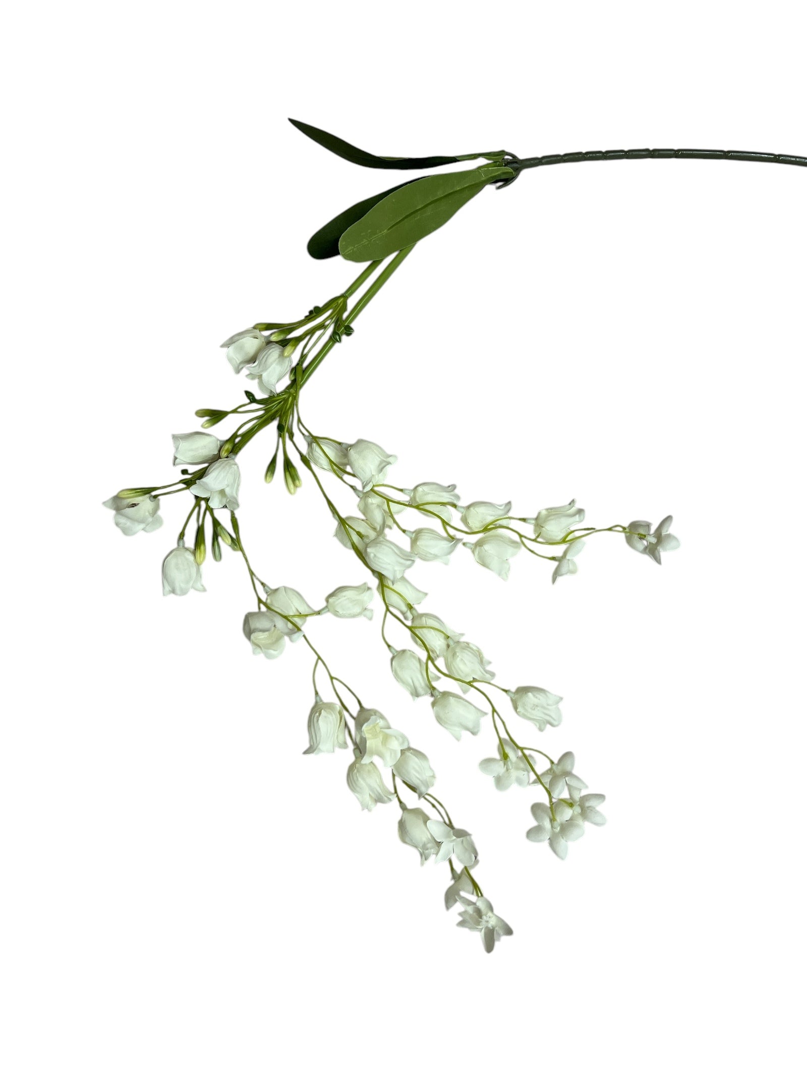 Photoroom_20250227_161717