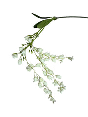 Photoroom_20250227_161717