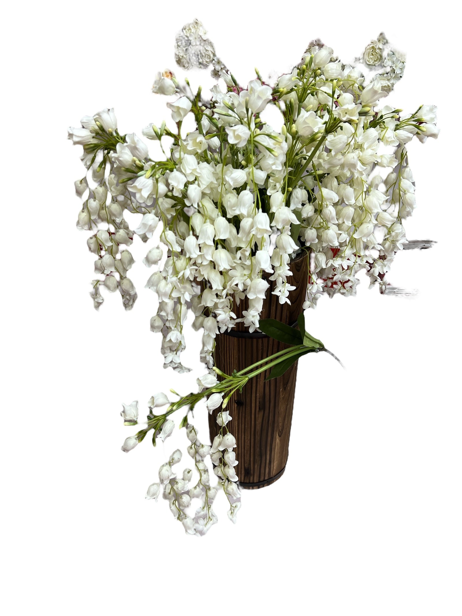 Photoroom_20250227_161808