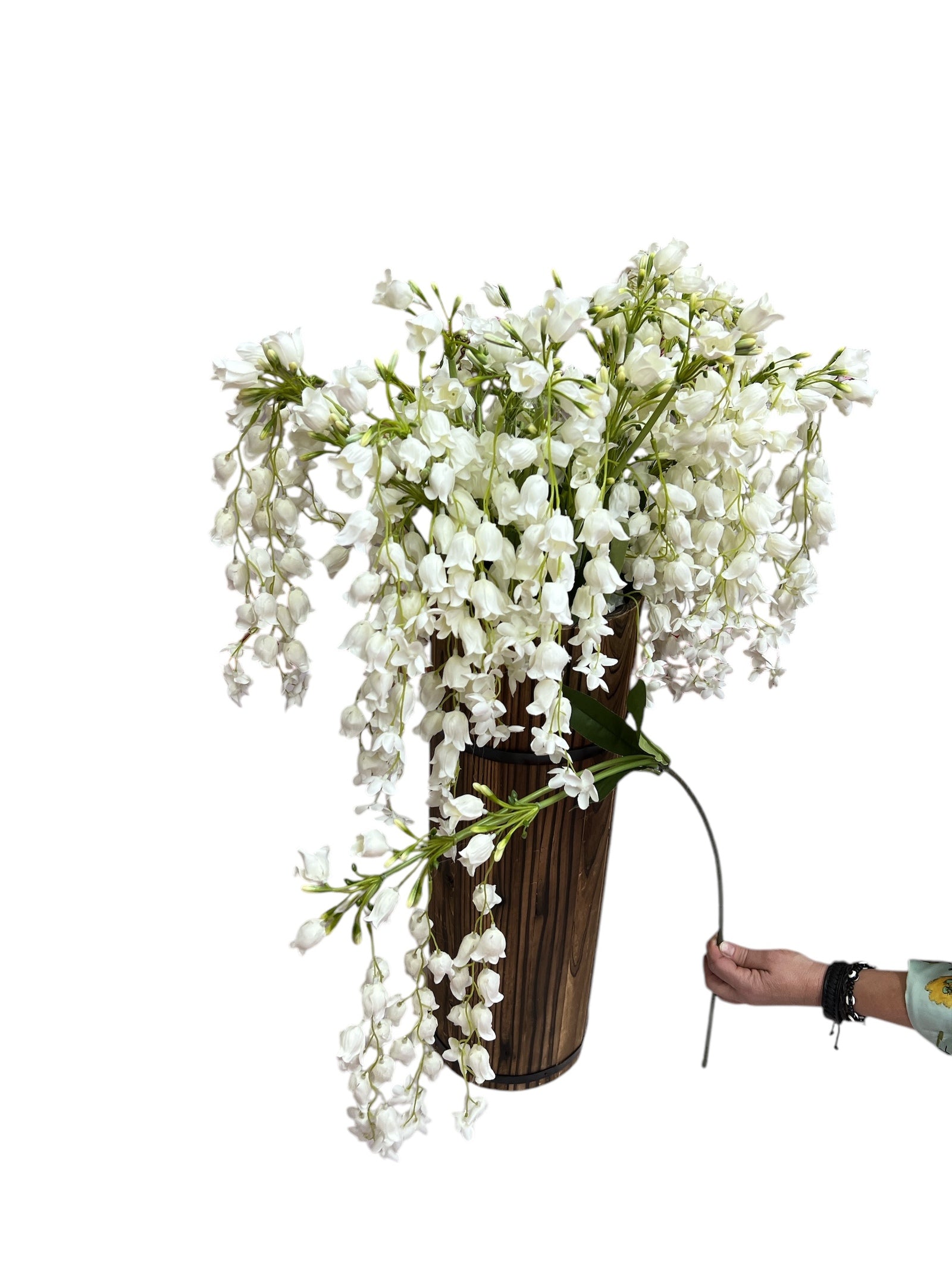 Photoroom_20250227_161846