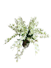 Photoroom_20250227_161126