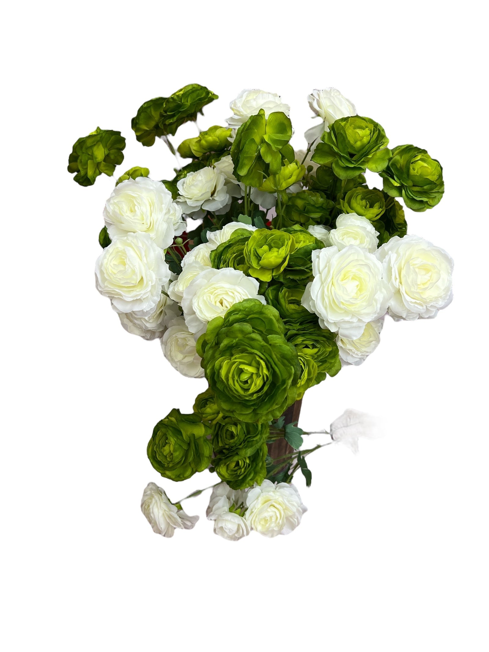 Photoroom_20250227_160839