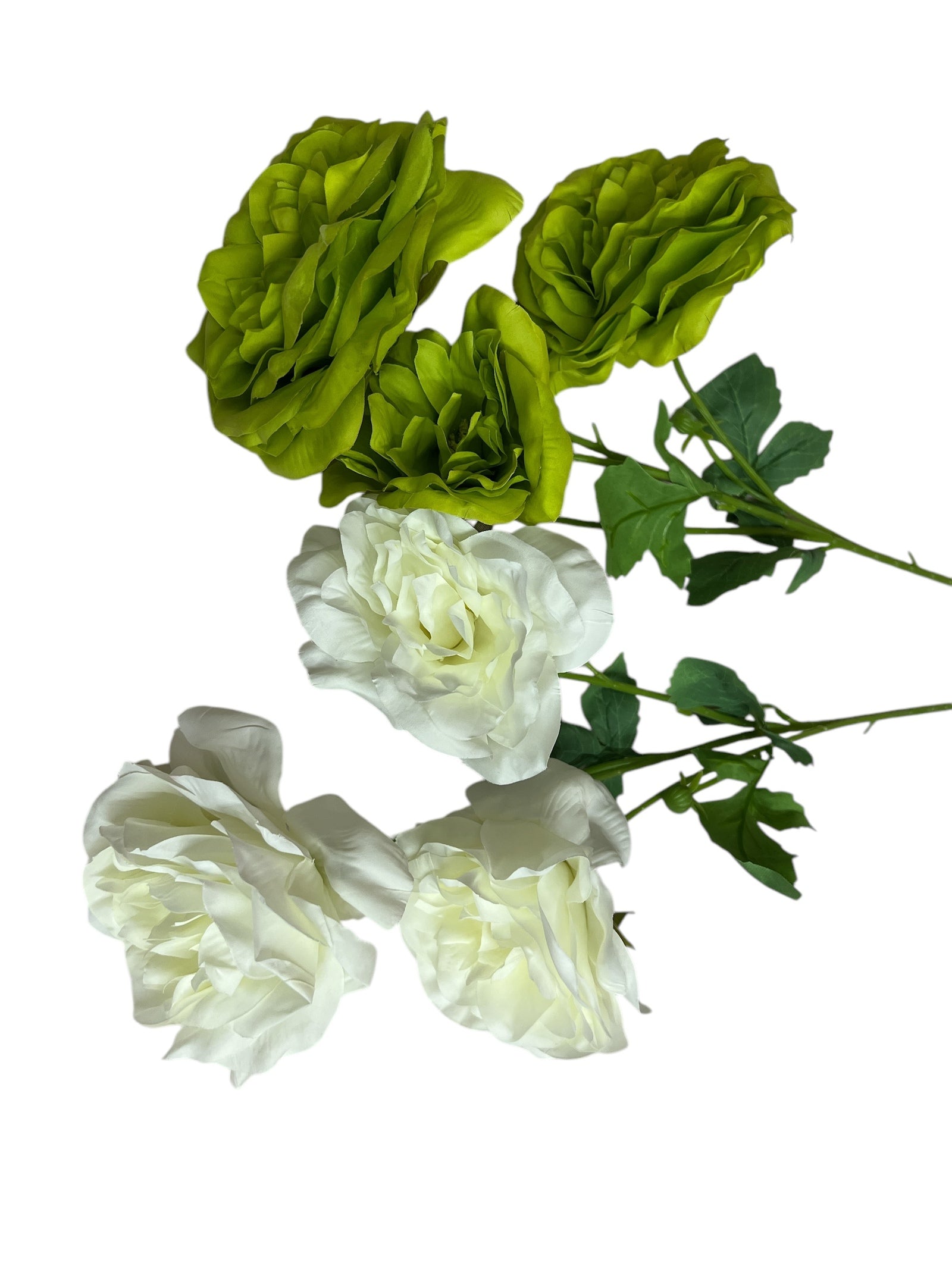 Photoroom_20250227_160040