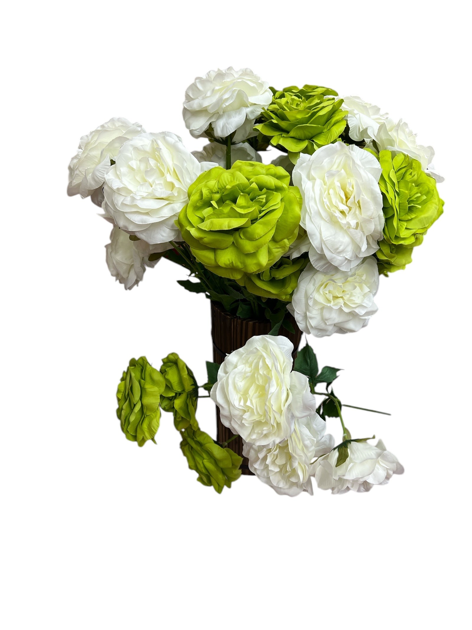 Photoroom_20250227_160155