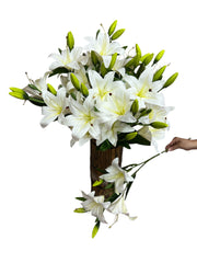 Photoroom_20250227_155830