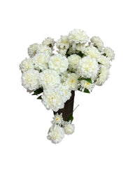 Photoroom_20250227_160322