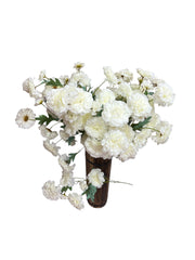 Photoroom_20250227_162903 2