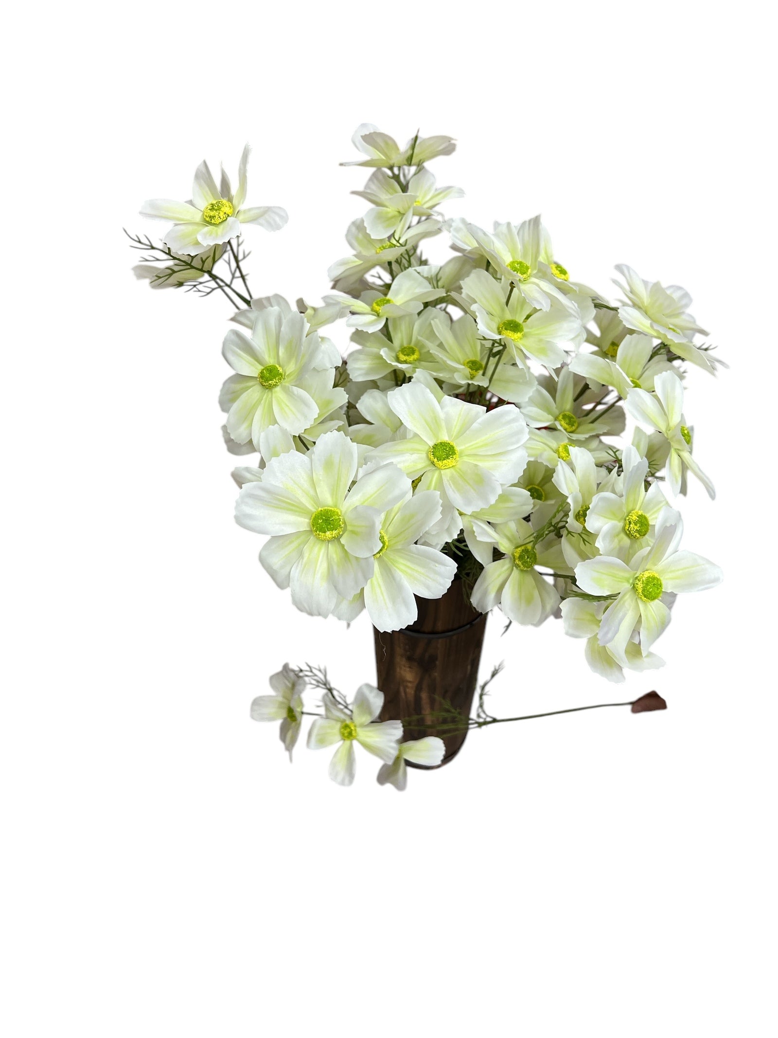 Photoroom_20250227_162102