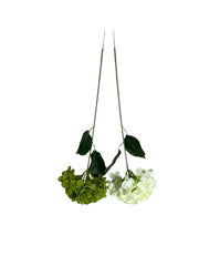 Photoroom_20250227_162525