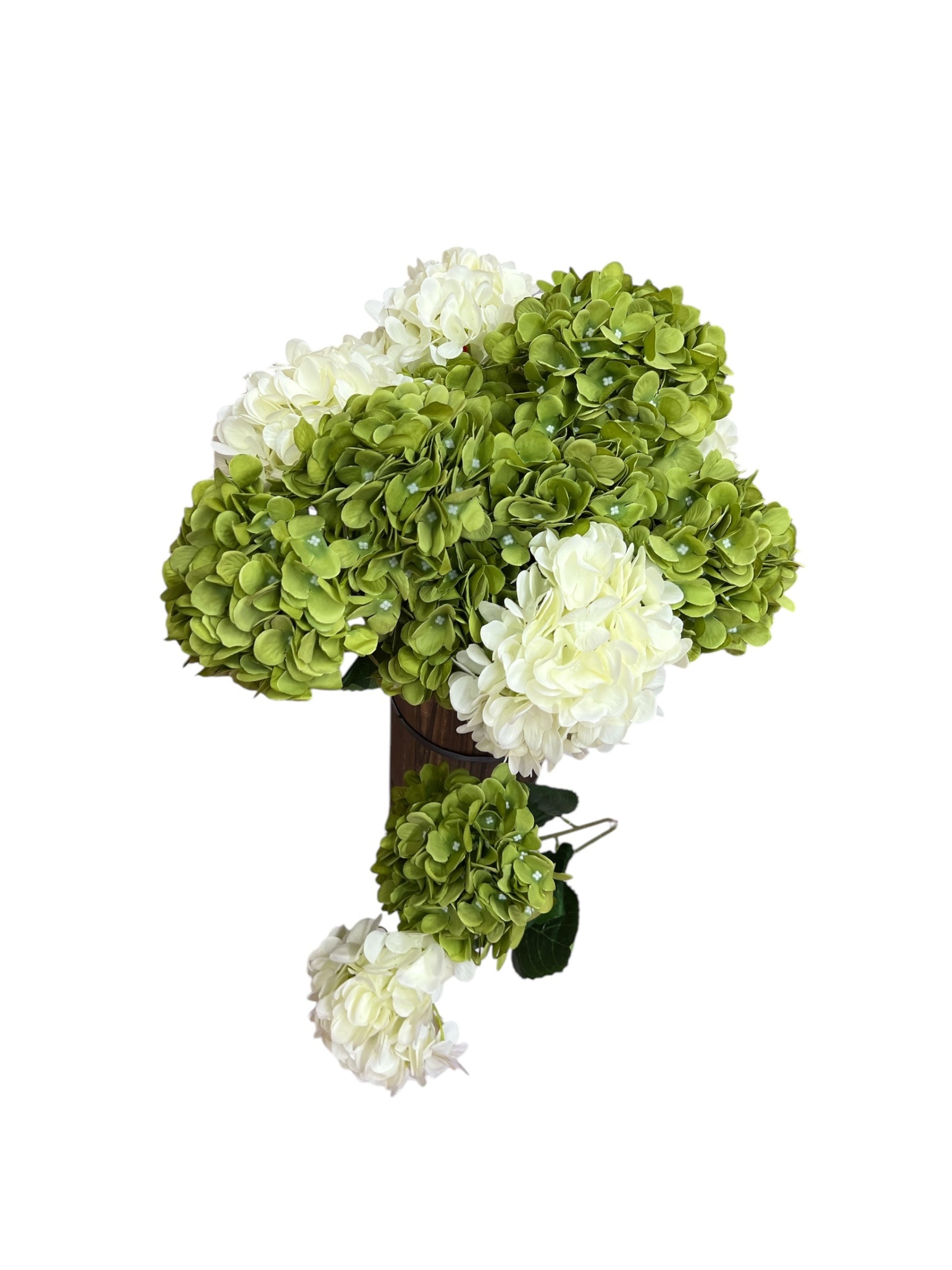 Photoroom_20250227_162641