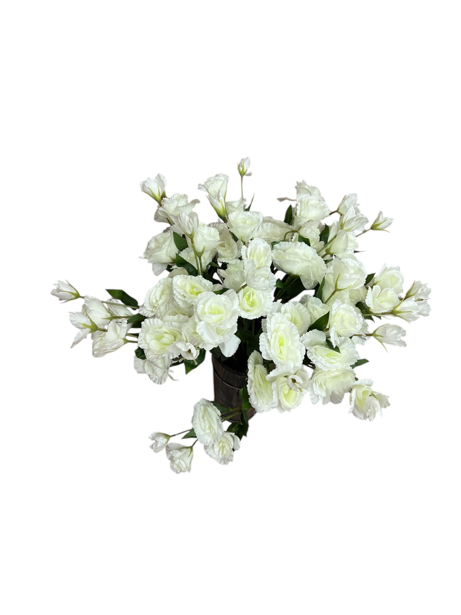 Photoroom_20250227_162340