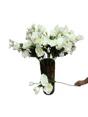 Photoroom_20250227_162432