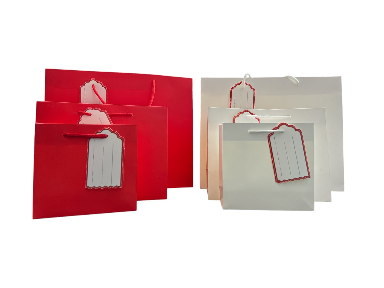 Photoroom_20250227_153409