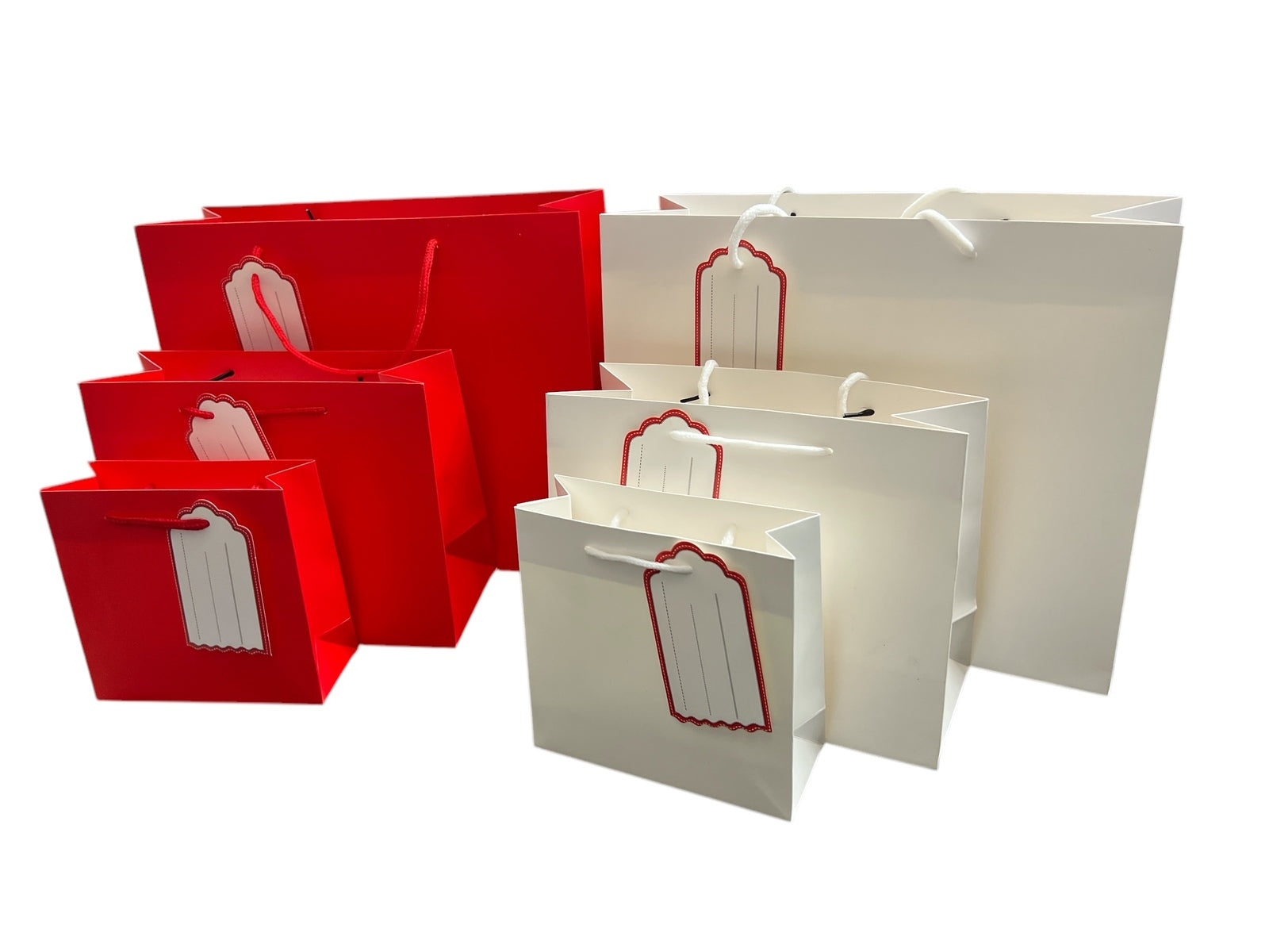 Photoroom_20250227_153449