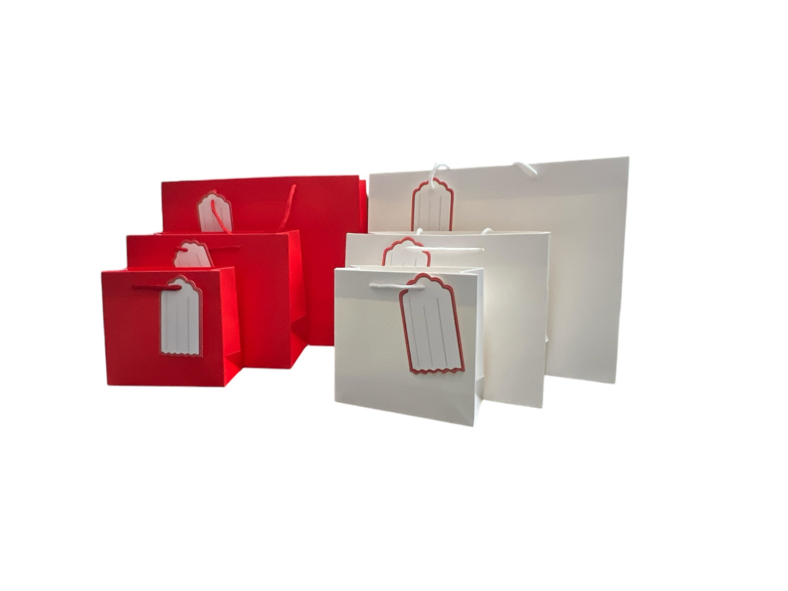 Photoroom_20250227_153546