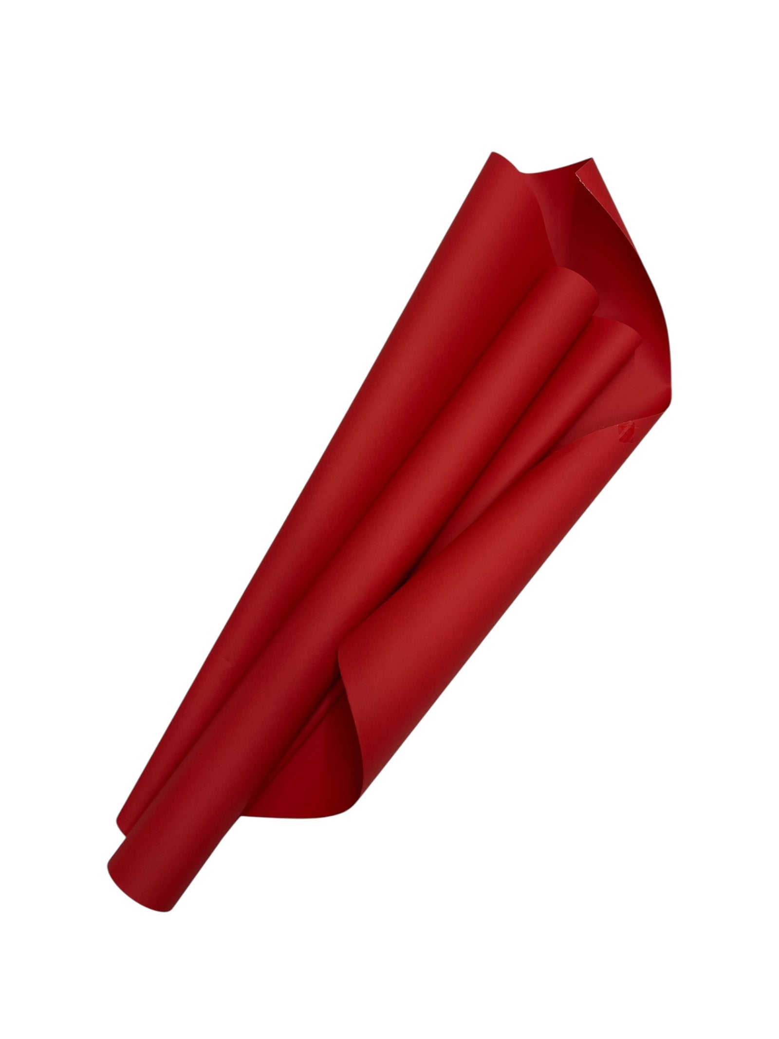 Photoroom_20251007_133911