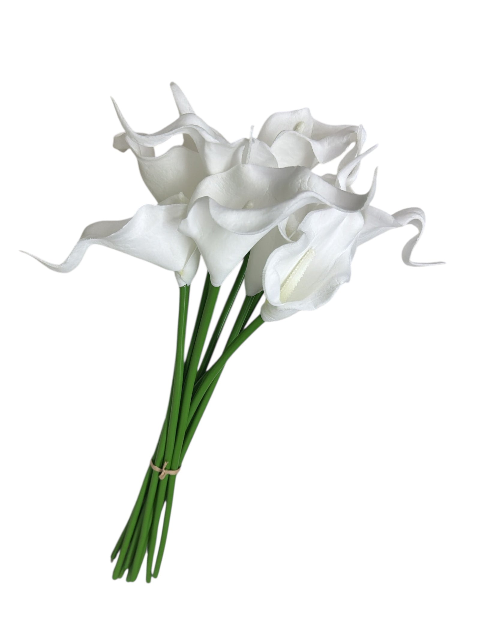 Photoroom_20251209_121357