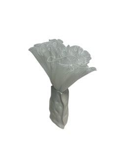 Photoroom_20250609_121852 Mică