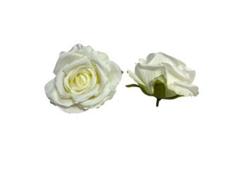 Photoroom_20250609_124313 Mică