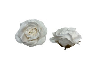 Photoroom_20250609_125442 Mică