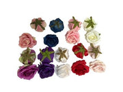 Photoroom_20250609_130617 Mică